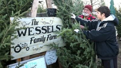 Illinois Christmas tree farmers say demand is high this holiday season