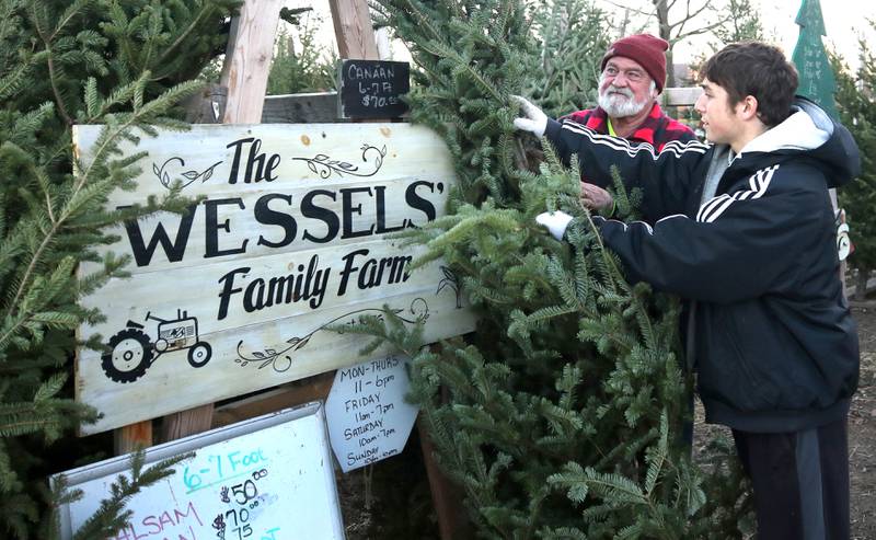 Rob Wessels, owner of Wessels' Family Farm, and his grandson Davey Wessels, 17, from South Paris, Maine, pull out one of the Christmas trees Tuesday, Dec. 12, 2023, at Wessels' Family Farm Market in DeKalb.