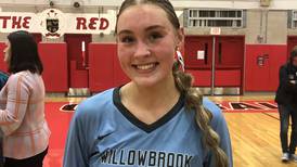 Girls volleyball: Willowbrook dispatches Lyons in Class 4A Hinsdale Central Sectional semifinal