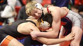 Wrestling: Previewing teams around the Kane County Chronicle coverage area 